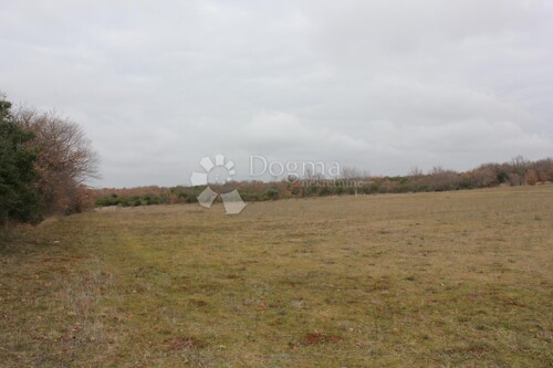 Thumbnail 5800092 - 6