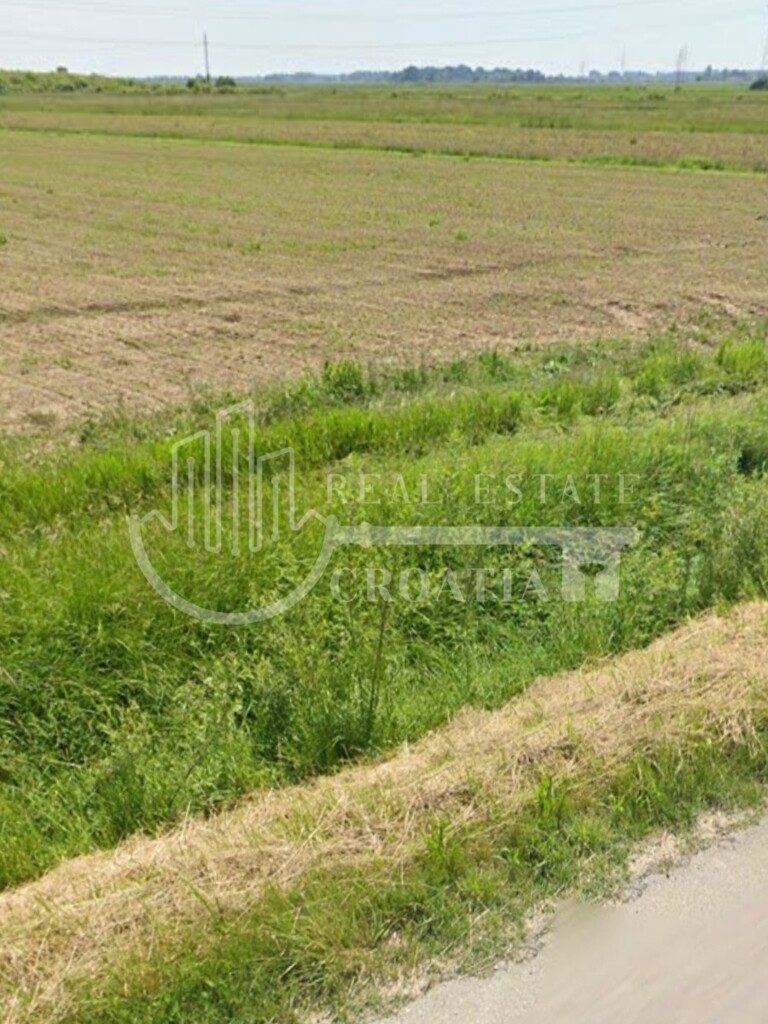 Image 5800266 - 2