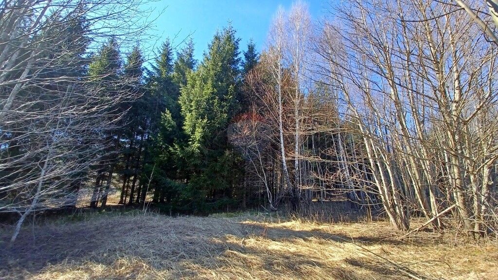 Image 5800308 - 3