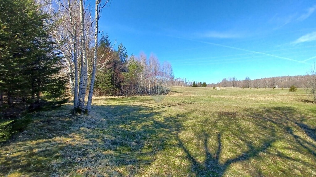 Image 5800308 - 1