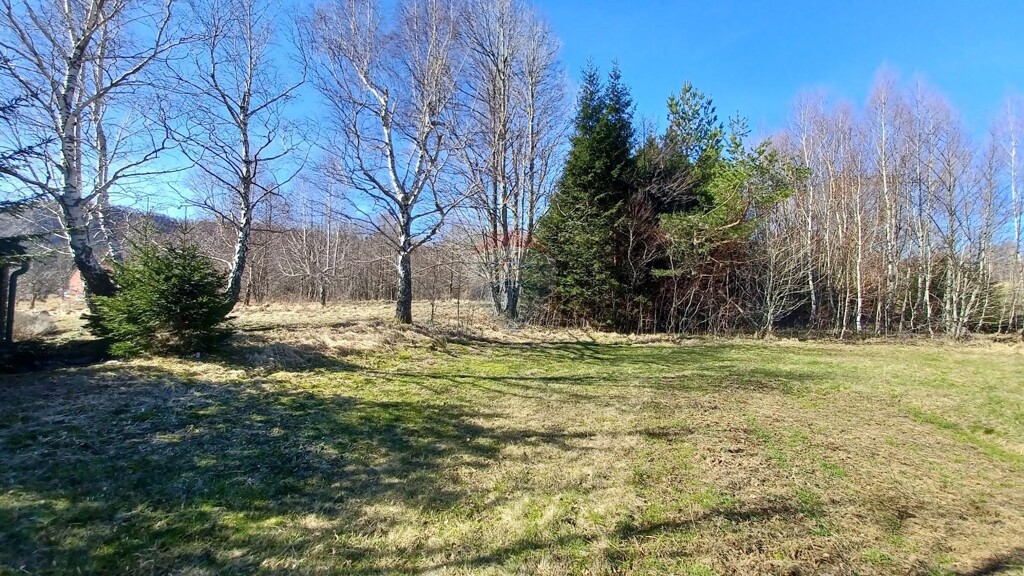 Image 5800308 - 4