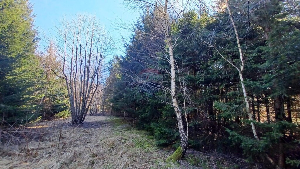 Image 5800308 - 5