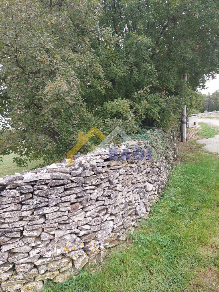 Image 5801246 - 6