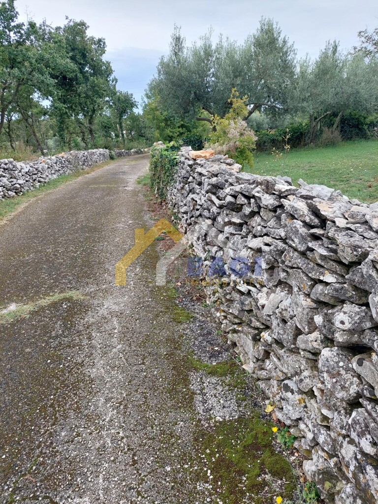 Image 5801246 - 3