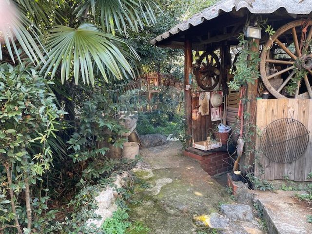 Image 5802688 - 11