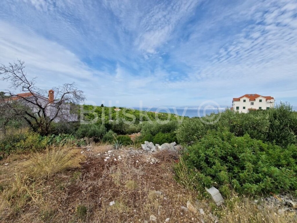 Image 5804988 - 3