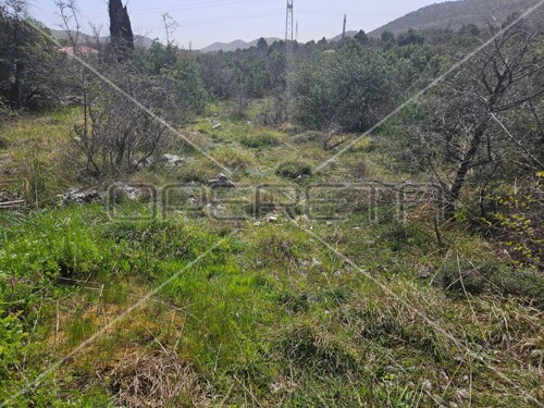 Thumbnail 5807542 - 5