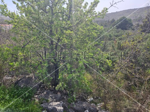 Thumbnail 5807542 - 6