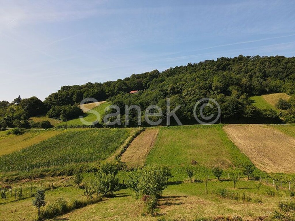 Image 5807851 - 4
