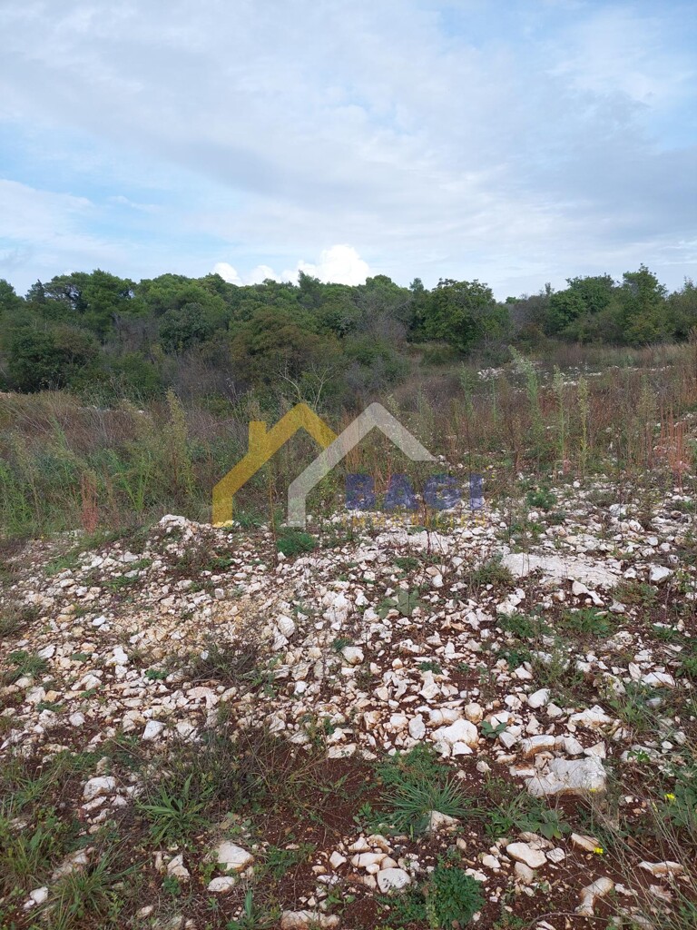 Image 5809000 - 4