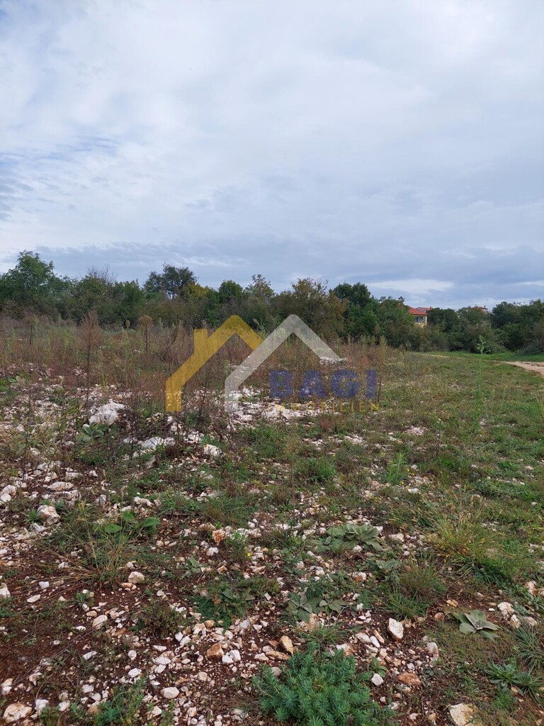 Image 5809000 - 3