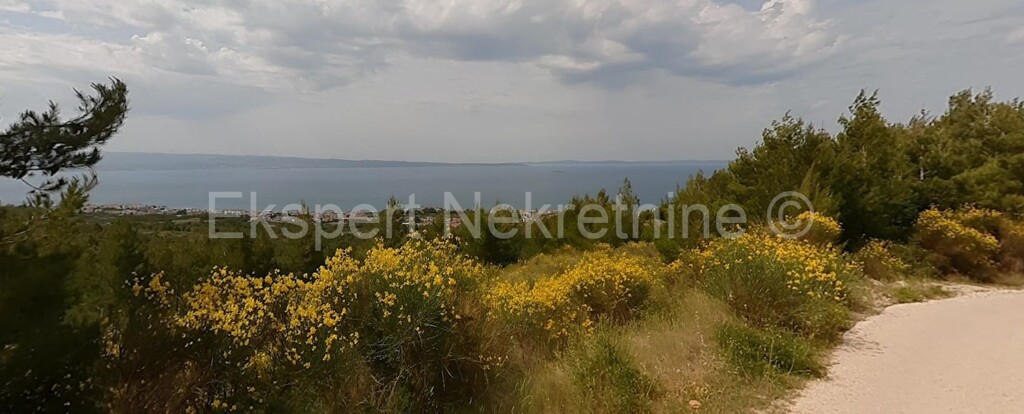 Image 5809207 - 1
