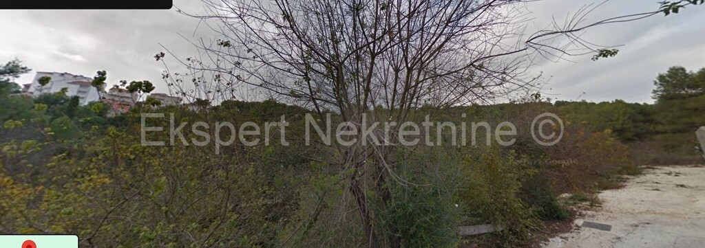 Image 5809209 - 1