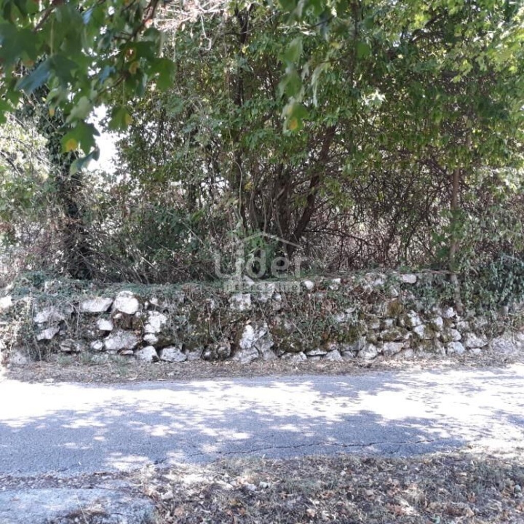 Image 5815851 - 6