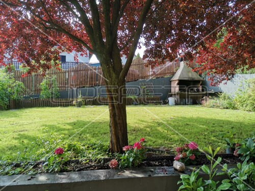 Thumbnail 5816162 - 7