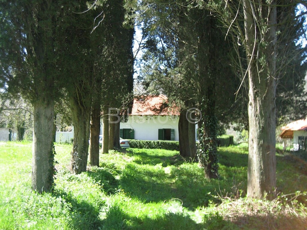 Image 5816169 - 2