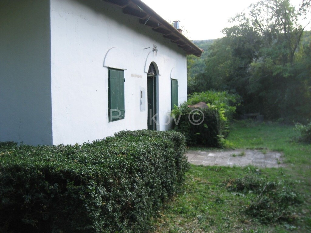 Image 5816169 - 3
