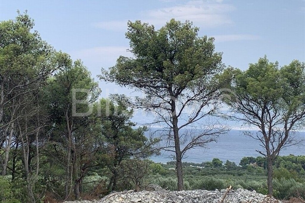 Image 5816171 - 4
