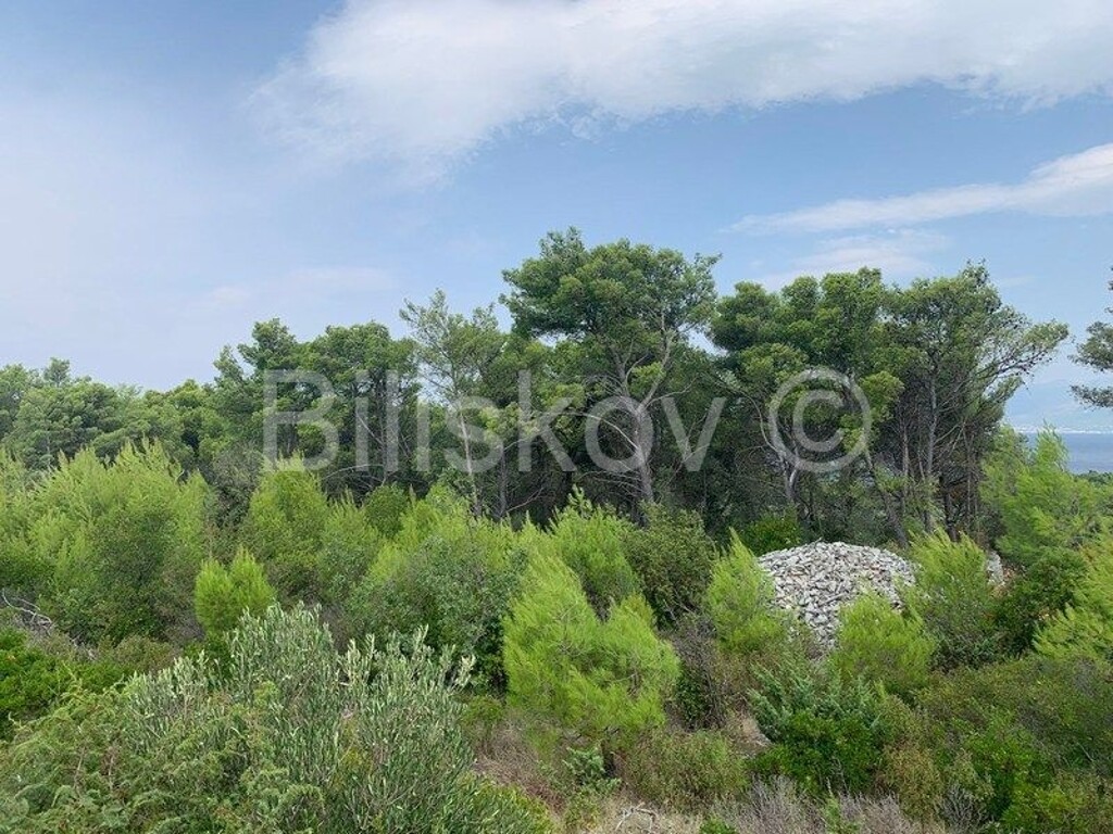 Image 5816171 - 5
