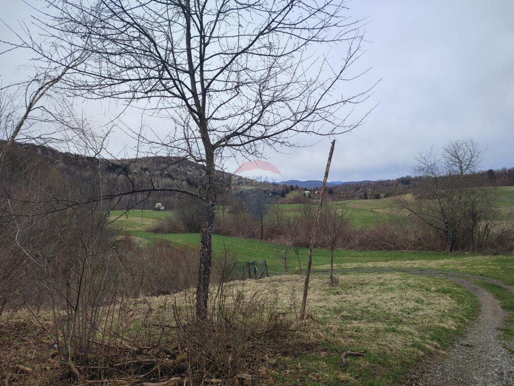 Image 5816218 - 1
