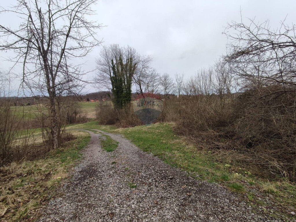 Image 5816218 - 6