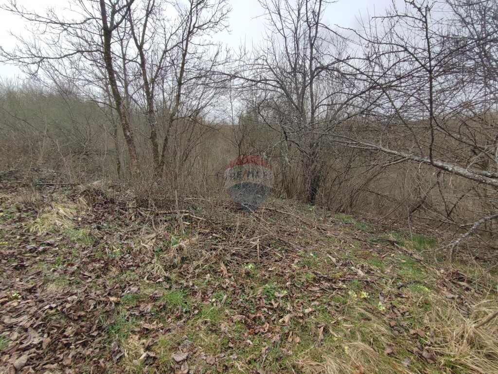 Image 5816218 - 5