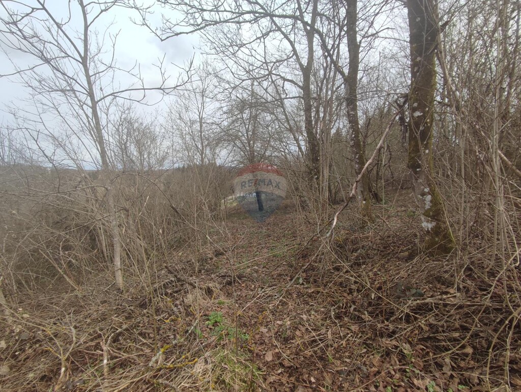 Image 5816218 - 4