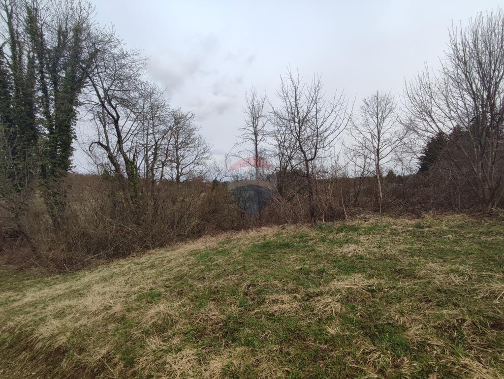Image 5816218 - 2