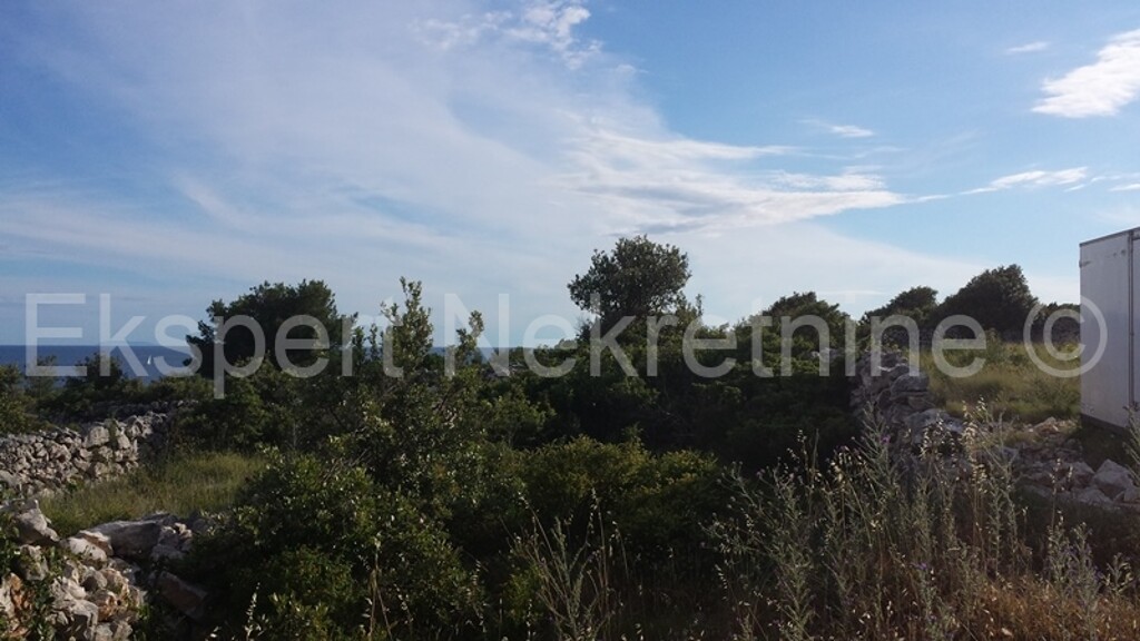 Image 5817602 - 2
