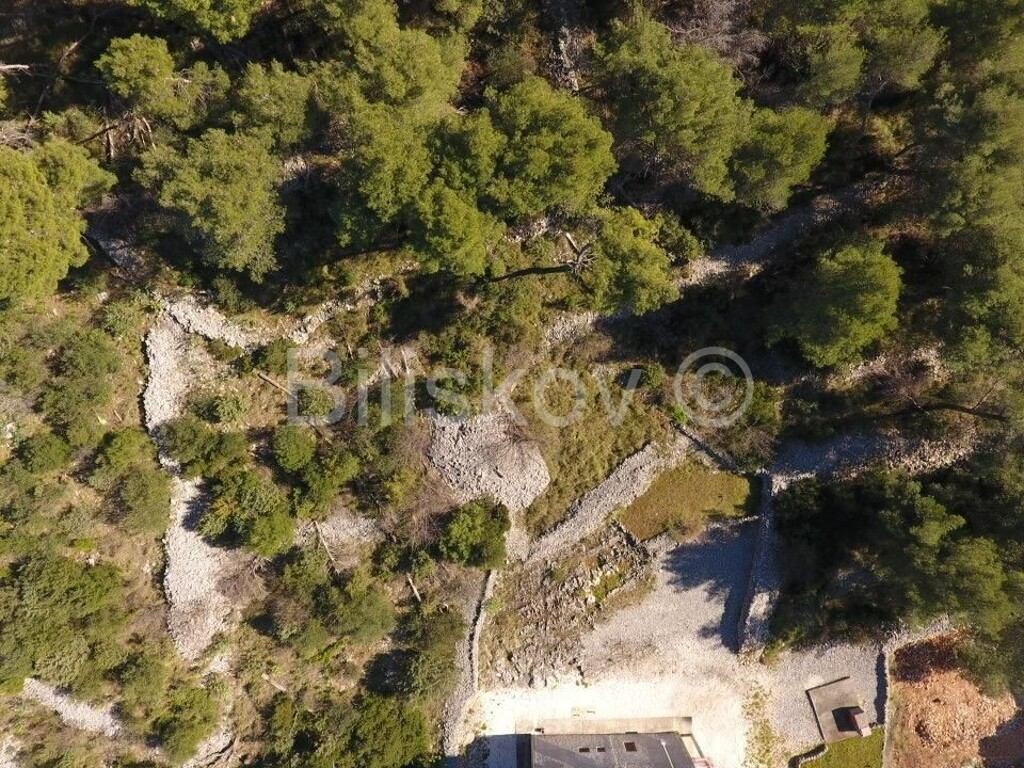 Image 5819198 - 2