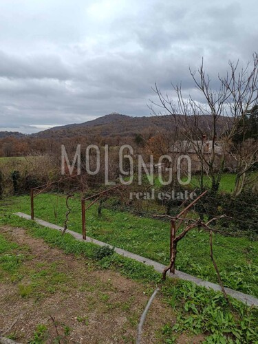 Thumbnail 5820026 - 3