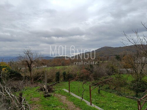 Thumbnail 5820026 - 2