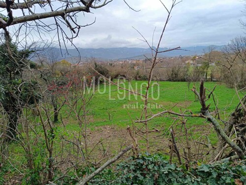 Thumbnail 5820026 - 5