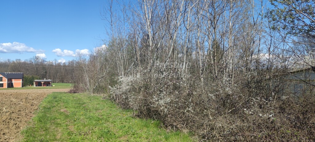 Image 5822254 - 6