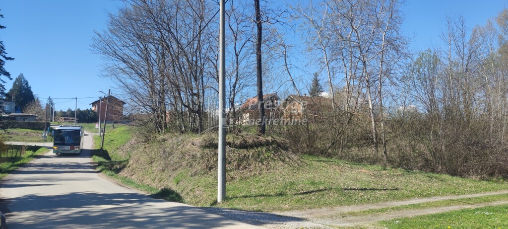 Image 5822254 - 2
