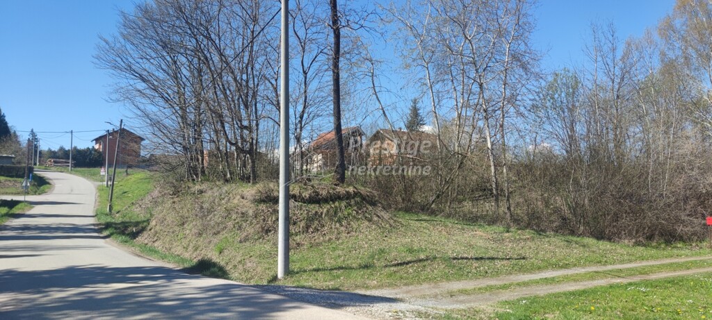 Image 5822254 - 3