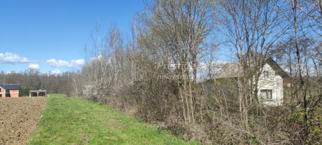 Image 5822254 - 7