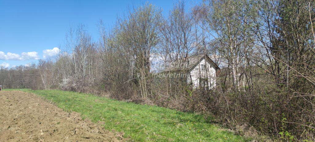 Image 5822254 - 5