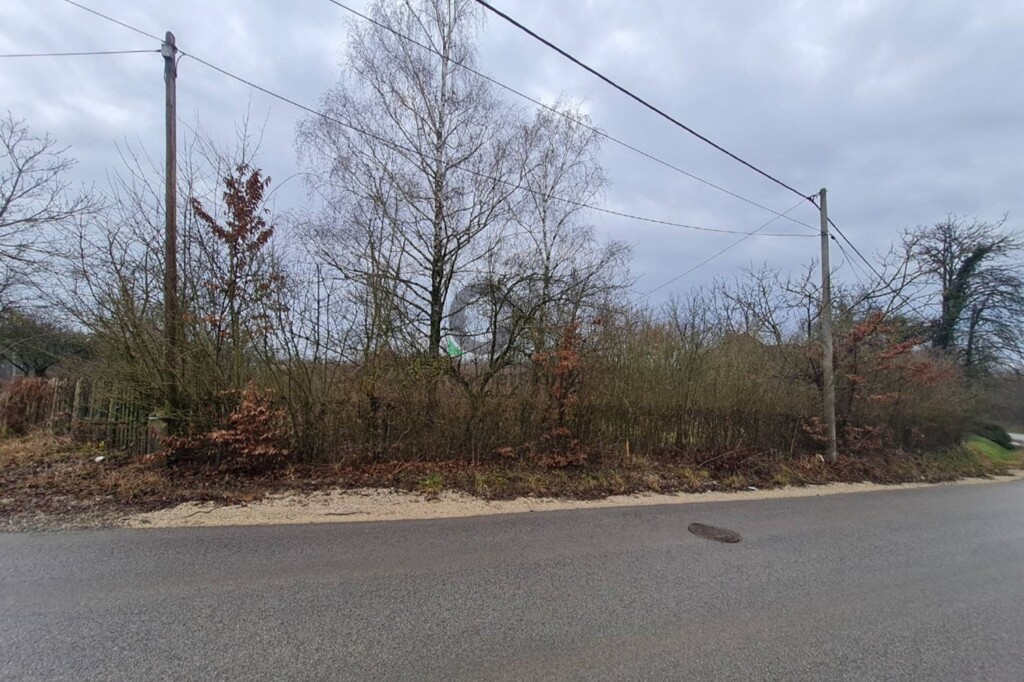 Image 5827824 - 1