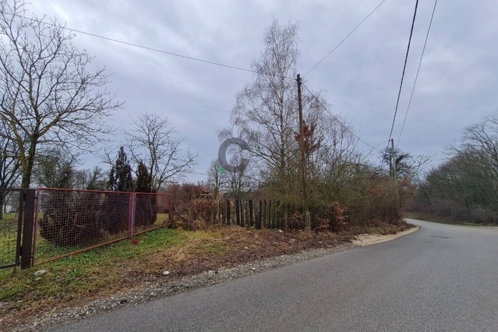 Image 5827824 - 3