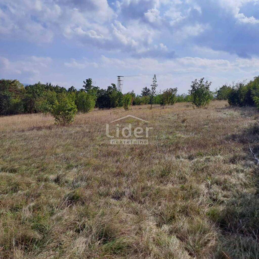 Image 5829852 - 3