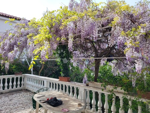 Thumbnail 5829872 - 3