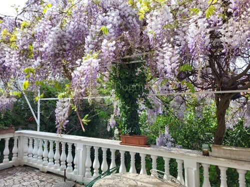 Thumbnail 5829872 - 23