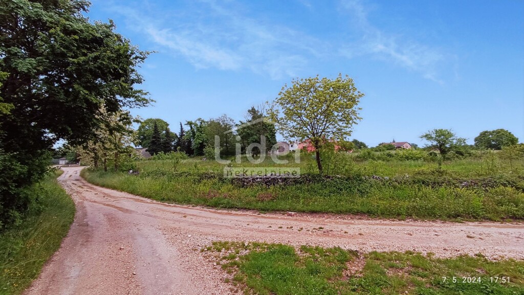 Image 5831857 - 2