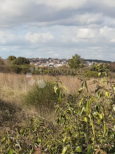 Thumbnail 5831866 - 9