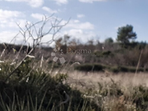 Thumbnail 5831866 - 3