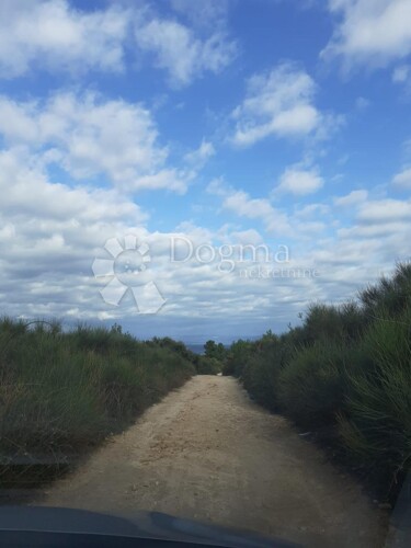 Thumbnail 5831866 - 1