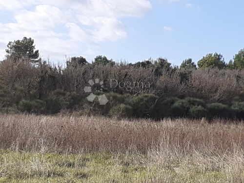 Thumbnail 5831866 - 17