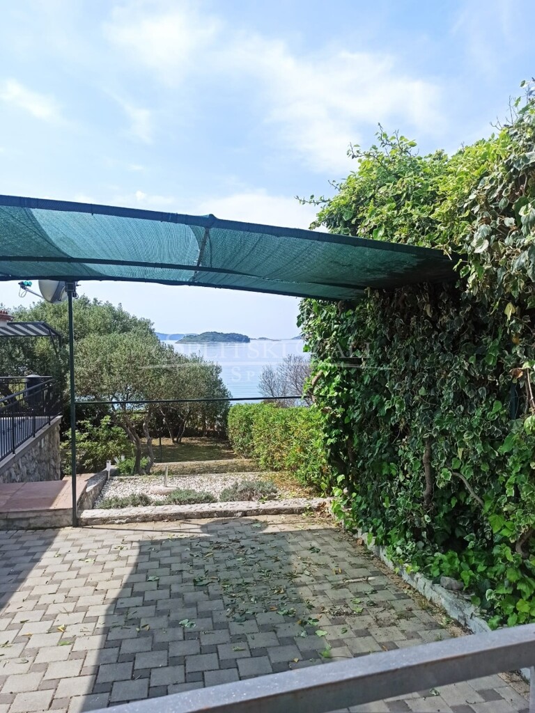Image 5832021 - 9