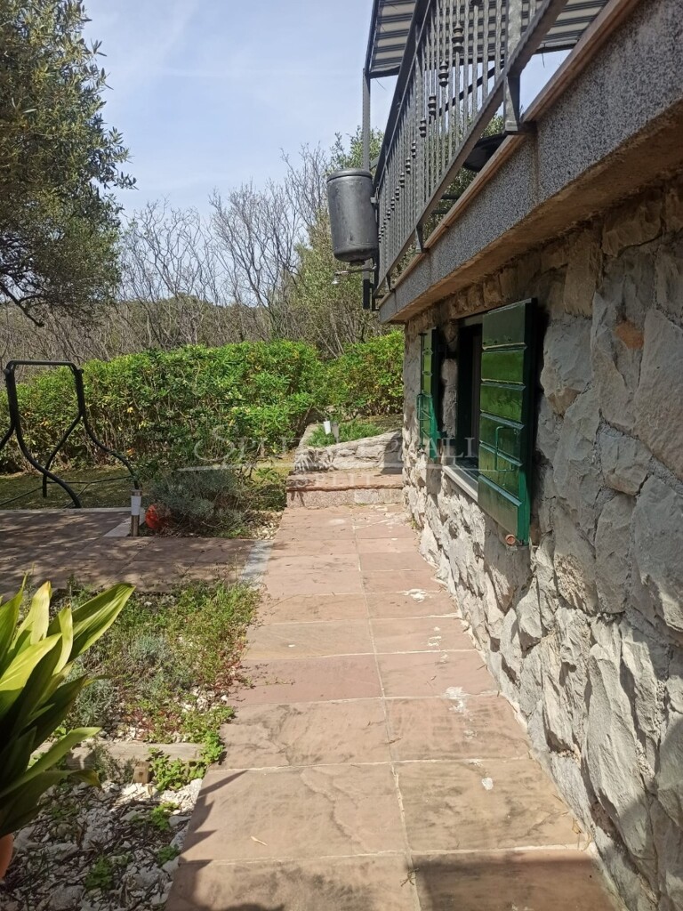 Image 5832021 - 7